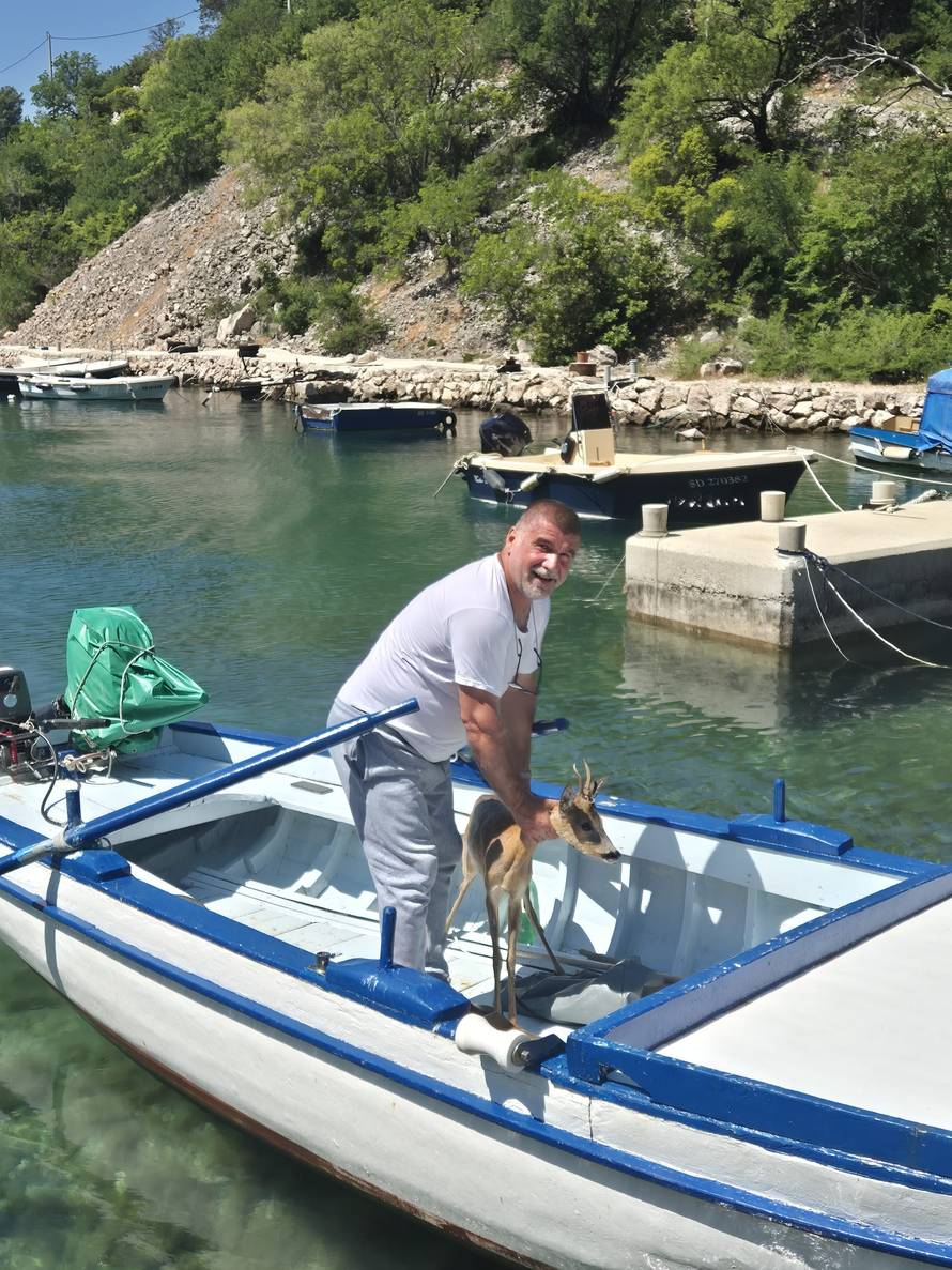 VIDEO Prelijepa gesta: 'Vidio sam srnu u moru i odmah skočio u barku i izvadio ju van'