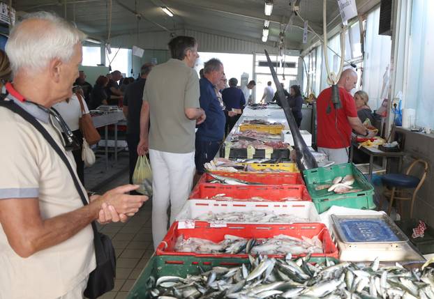 Šibenik: Ponuda ribe na ribarnici