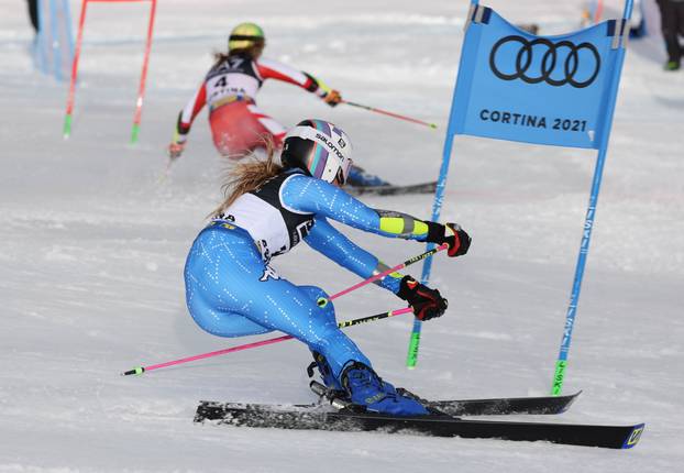 alpine ski race - 2021 FIS Alpine World SKI Championships - Parallel Giant Slalom - Women