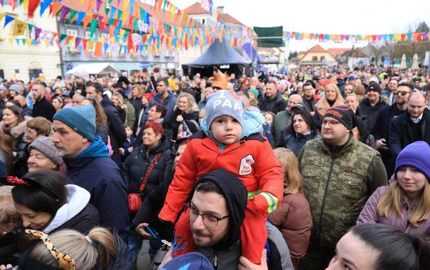 Velika povorka maskiranih grupa na 200. Samoborskom fašniku