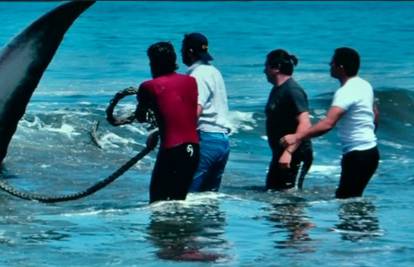 Nakon tri sata borbe ipak su uspjeli spasiti nasukanog kita