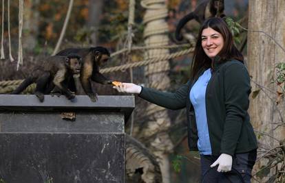 Elena je doktorica za majmune u zagrebačkom ZOO: 'Lemuri su me budili na Madagaskaru...'