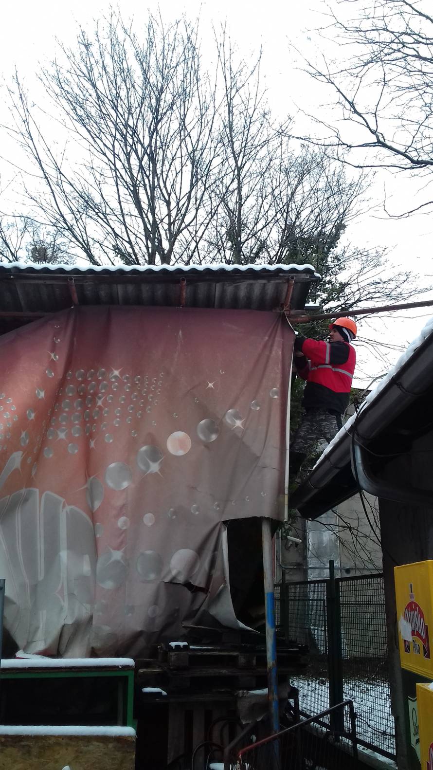 Miki ruši Jabuku: Sramotna čestitka za 50. rođendan kluba