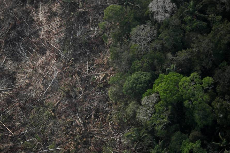 An aerial view of a deforested plot of the Amazon near Porto Velho