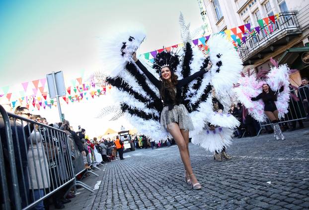 Samobor: Povorka mjesnih odbora i alegorijskih kola na Fašniku