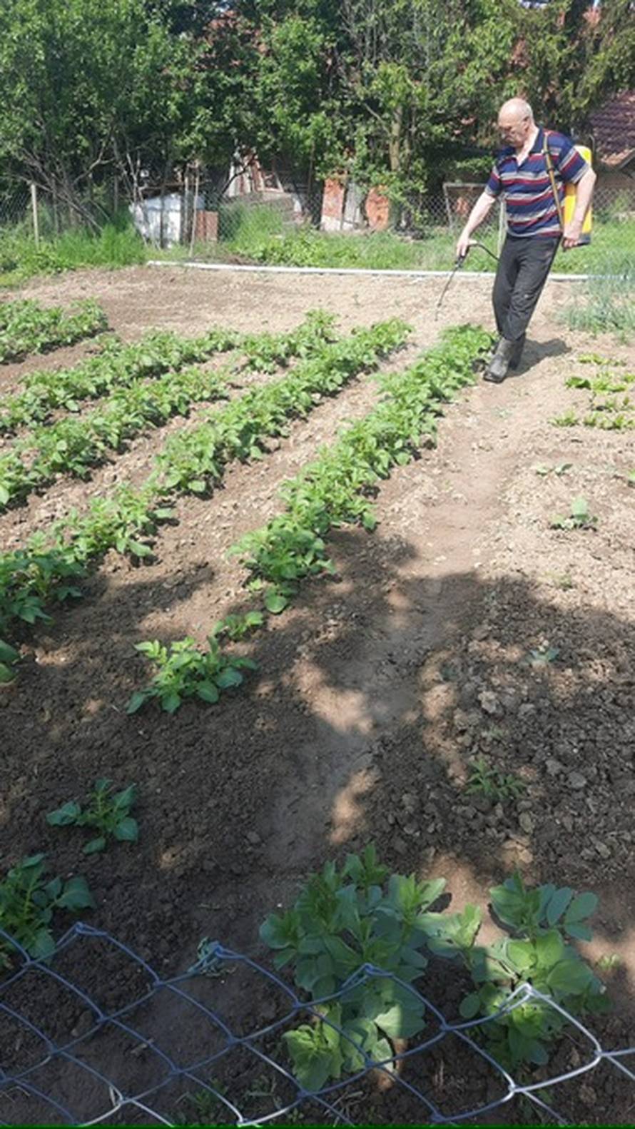 Bio-algeen proizvodi sve su traženiji: što ih čini zanimljivima za uzgoj?