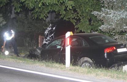 Auto je nakon sudara sletio s ceste, vozač je teško ozlijeđen