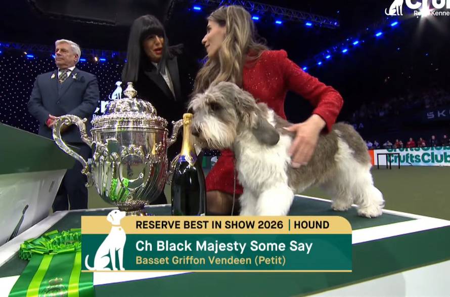 Pseći Croatian Sensation na Cruftsu: Slavna Meghan je drugi najljepši pas kraljevske izložbe