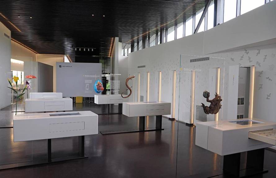 Jeste li čuli za Plemićku rutu? Uvući će vas u jednu posebnu priču o  Slavoniji i Podravini...