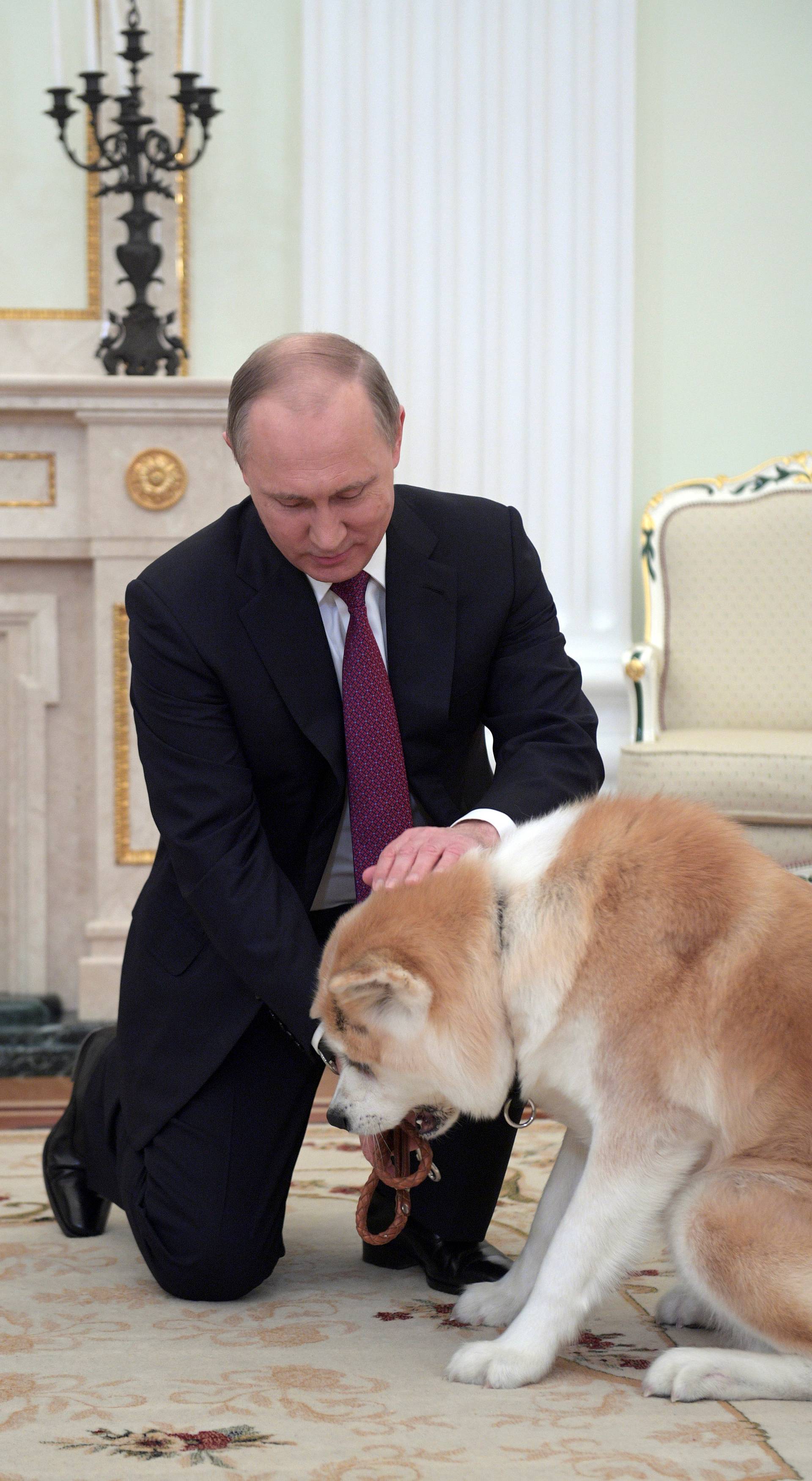 Russian President Putin strokes his dog Yume before giving interview to Japanese Nippon Television and Yomiuri newspaper at Kremlin in Moscow