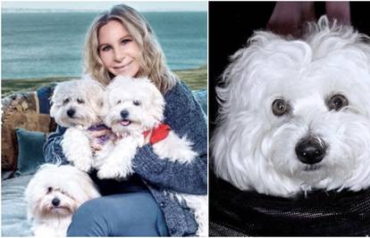 Barbra klonirala psa dva puta: 'Da bar imaju oči moje kujice'