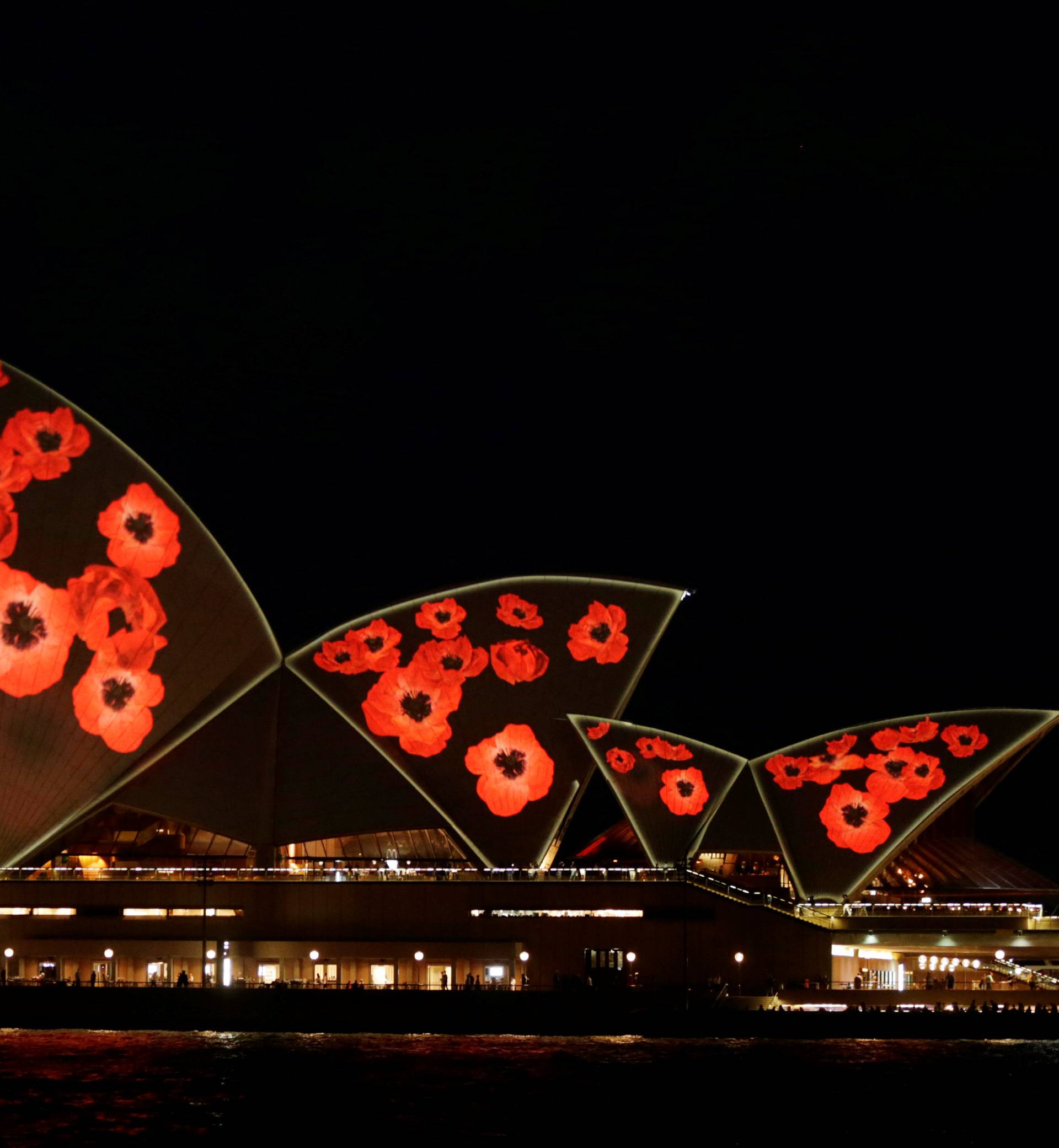 The sails of the Sydney Opera House are lit with poppies commemorating the armistice ending World War One on Remembrance Day in Sydney