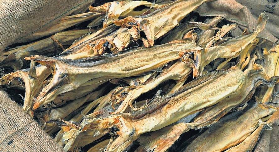 Željko Hladika/PIXSELL