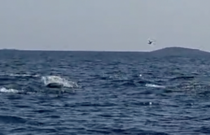 VIDEO Tune iskakale iz mora kod Murtera: 'Imale su oko 25 kilograma, oduševile su nas'