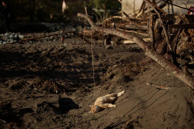 Dramatični prizori iz sela kod Fojnice 