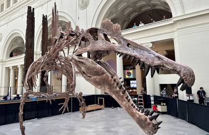 Nakon 142 godine pronađena nova vrsta oklopljenog dinosaura na otoku Wight