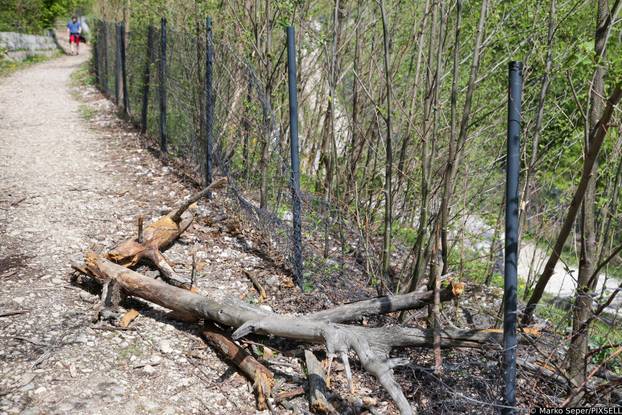 Zagreb: Tri tjedna nakon razorne oluje na Sljemenu i dalje vidljive posljedice 