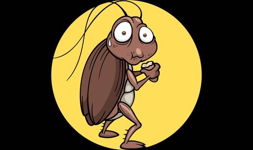 Sezona je &zcaron;ohara! Super trikovi kojima &cacute;ete ih izbaciti iz doma