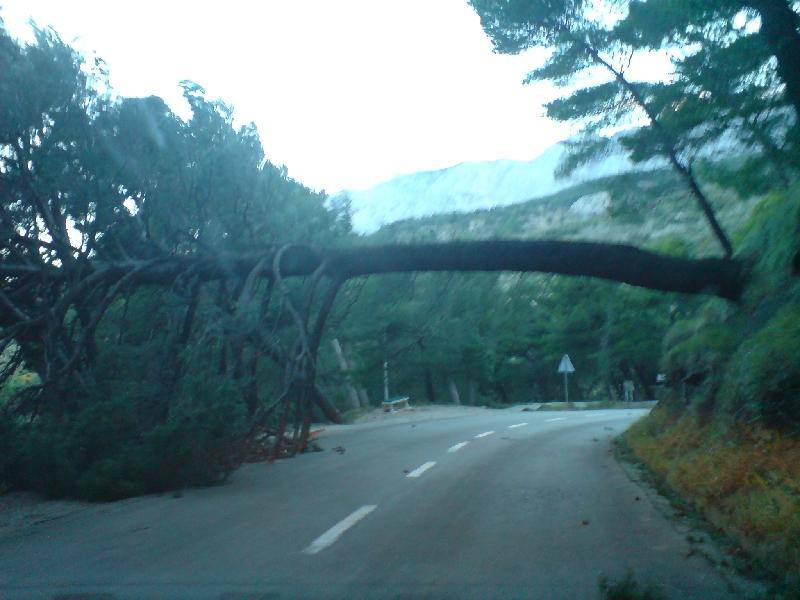 Slobodanka Opačak