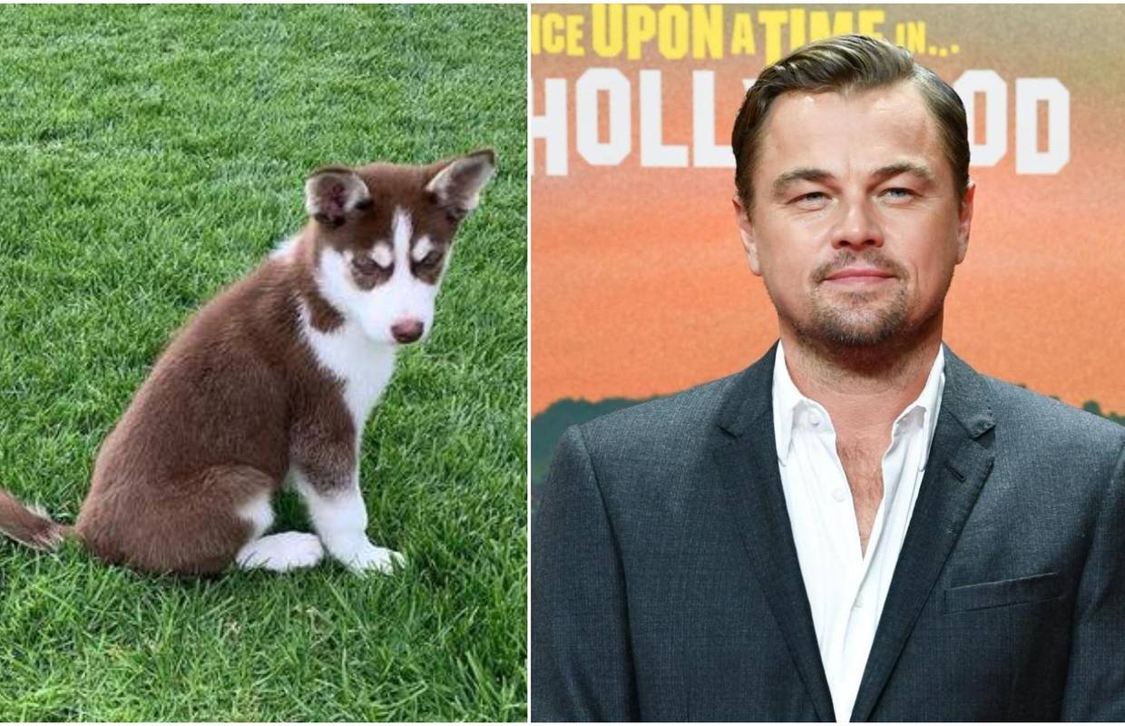 DiCaprio je riskirao život kako bi spasio svoje pse od utapanja