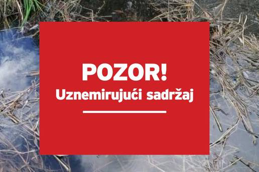 Strašan prizor kod Čakovca: U kantu za smeće bacili živo štene pa ga zatim utopili u potoku