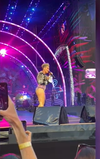 Pink promijenila stihove svoje pjesme u znak podrške Britney Spears pa oduševila publiku