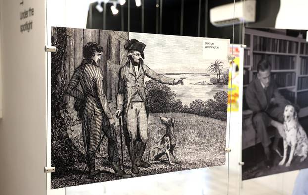 Šibenik:Otvoren muzej dalmatinskom psu,dalmatincu 