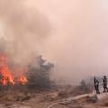 Pogledajte fotografije i snimke velikog požara kod Trogira: Oko 170 vatrogasaca je na terenu