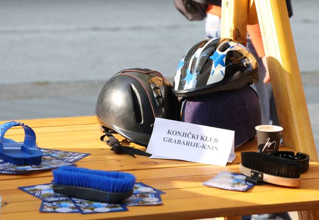 Sajam udruga u Kninu