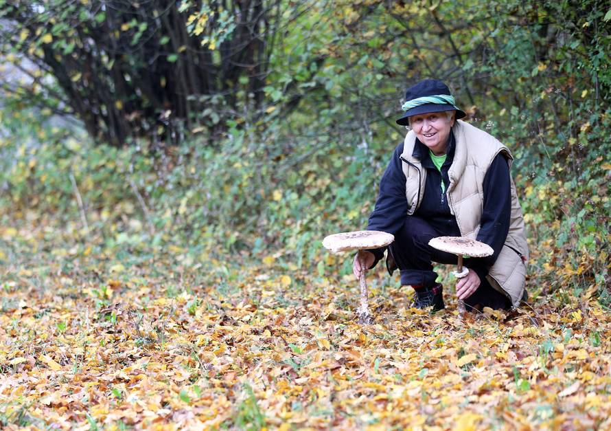 'Gljive mogu biti kobne. Spasila sam već najmanje 40 života... '