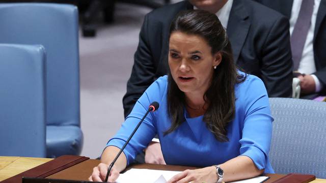 FILE PHOTO: United Nations Security Council on the crisis in Ukraine at U.N. headquarters in New York