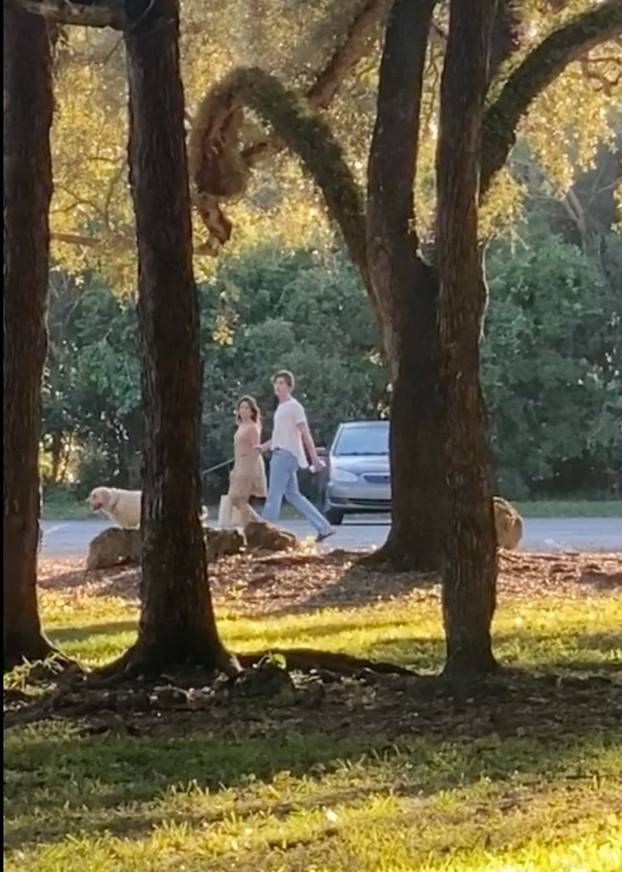 *PREMIUM-EXCLUSIVE* Shawn Mendes and Camila Cabello Spotted Together Walking Dog