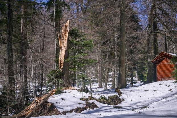 Zagreb: Posljedice olujnog nevremena na Sljemenu