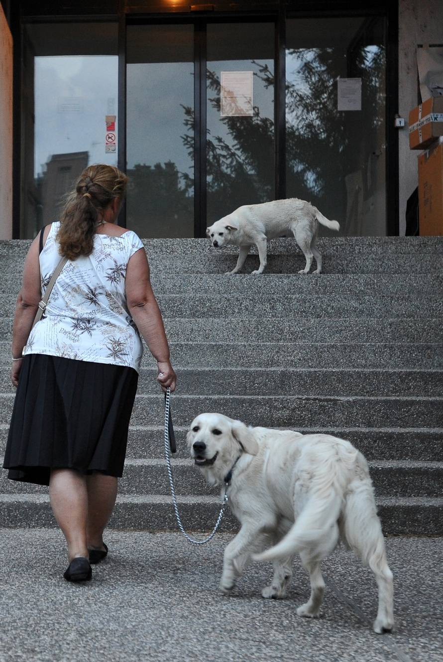 Nina Djurdjevic/PIXSELL