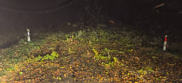 Nevrijeme pogodilo Zagreb. Vatrogasci su imali više od 50 intervencija! Pogledajte fotke