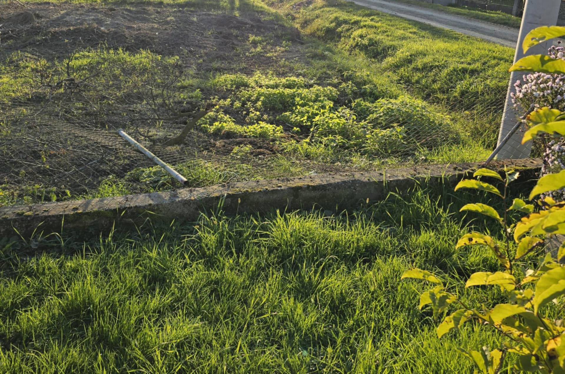 Bik napao ženu kod Dugog Sela: 'S ceste se zaletio prema meni, ogradu je srušio kao paučinu'