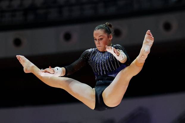 2025 World Artistic Gymnastics Championships