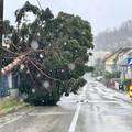 FOTO DHMZ: Ovakvi udari vjetra  u Zagrebu doga&dstrok;aju se jednom u stotinu godina