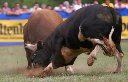 'Rat’ bikova u Dalmaciji je oduševio 15.000 gledatelja