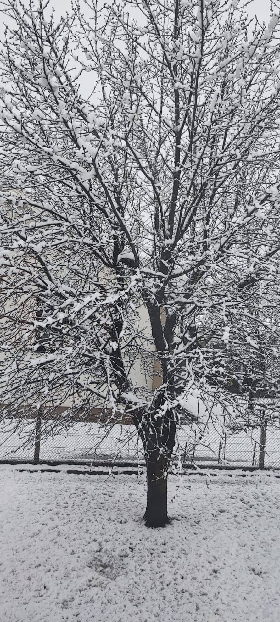 FOTO/VIDEO Pogledajte kako je snijeg zabijelio cijelu Hrvatsku, padat će i dalje, na moru bura
