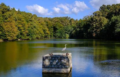 Boje jeseni u parku Maksimir