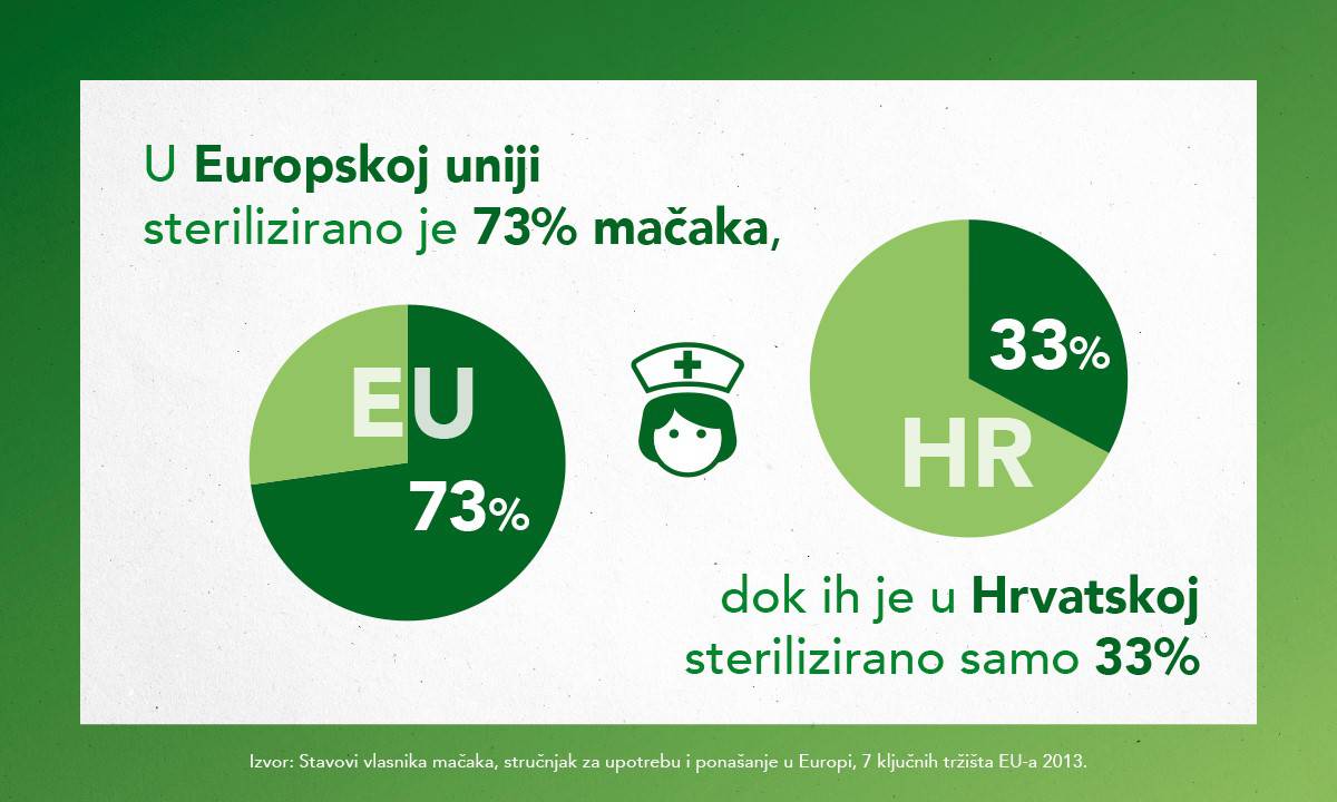 U Hrvatskoj se sterilizira dvostruko manje mačaka nego u Europskoj uniji