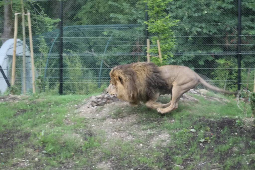 Zoo Zagreb