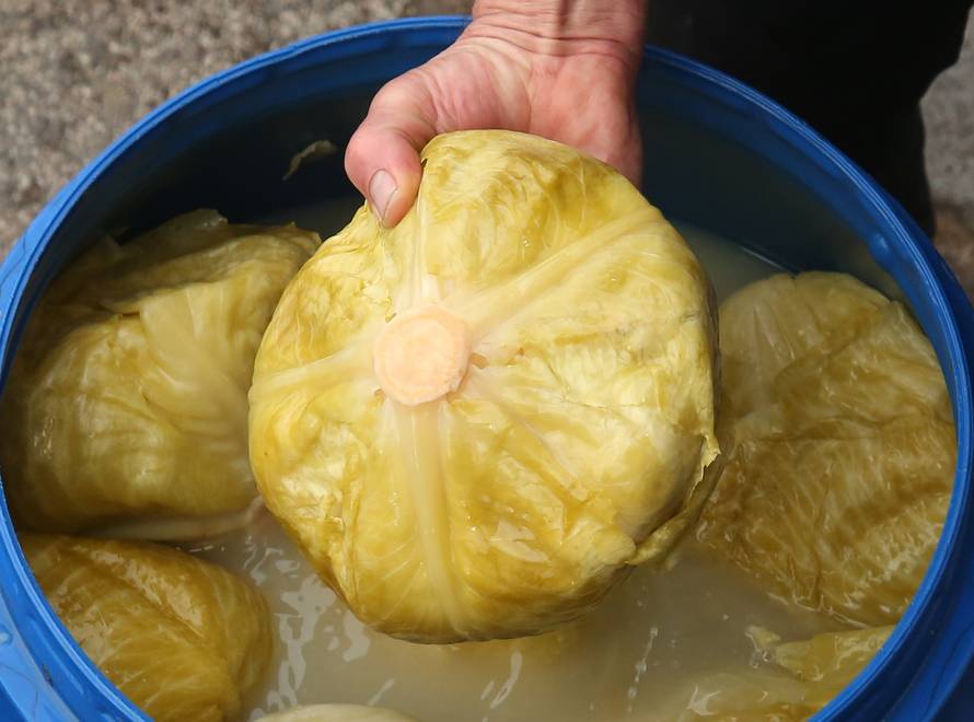 Kiseli kupus je lijek za sve, kao i kiseli krastavci, repa pa i kefir