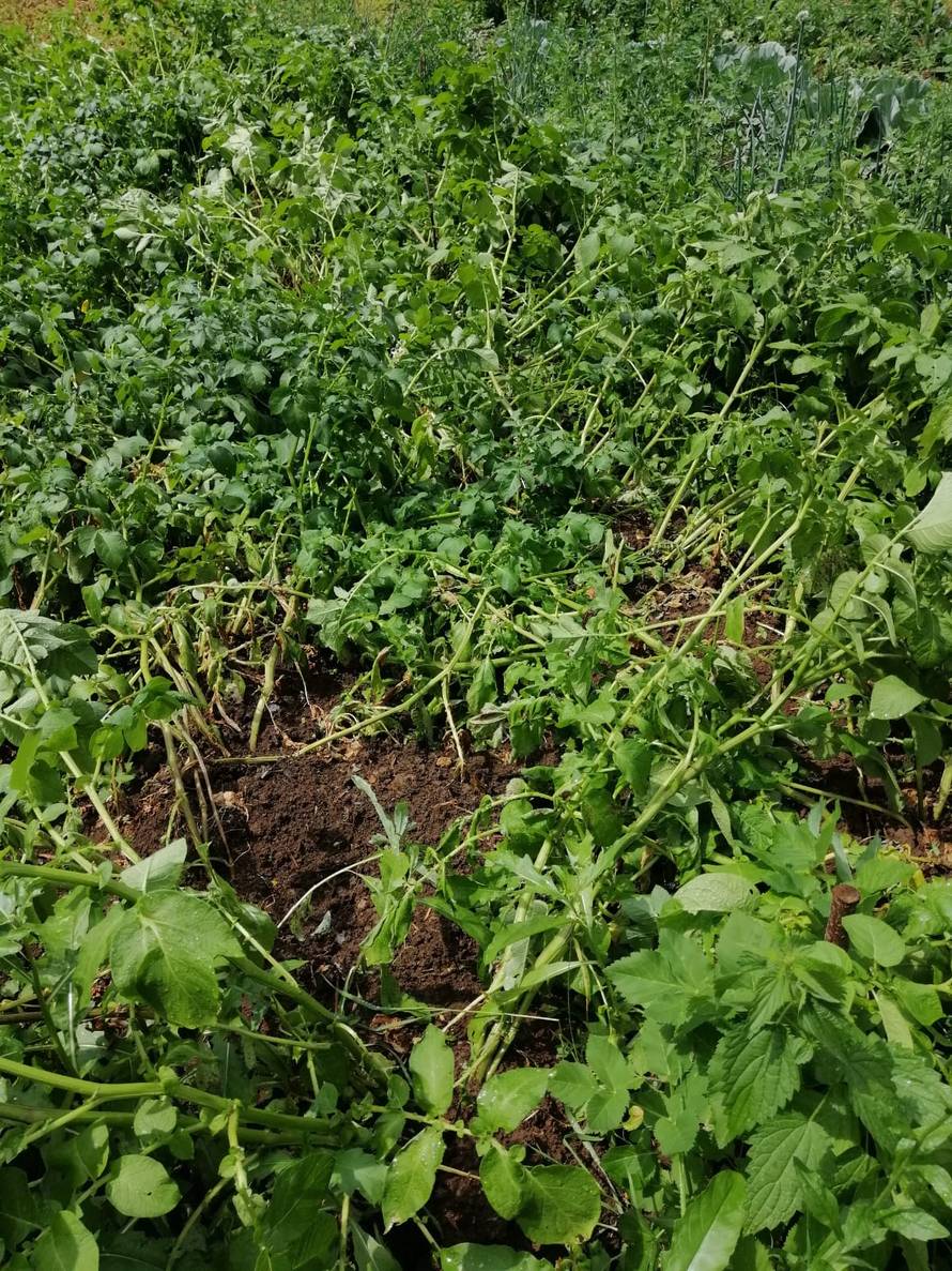 Žestoka oluja poharala Plitvice!