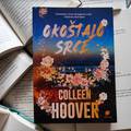 'Okoštalo Srce' Colleen Hoover: O ljubavi i životnim ožiljcima