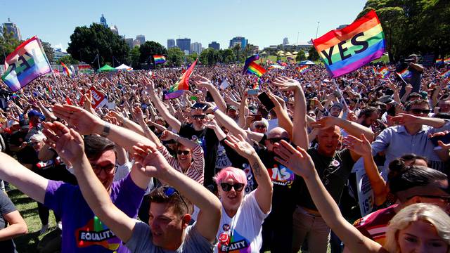 Supporters of the 'Yes' vote for marriage equality celebrate after it was announced the majority of Australians support same-sex marriage in a national survey, at a rally in Sydney
