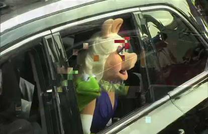 Poznati na premijeri 'Muppeta': Ricky bi sa žapcem išao u rat
