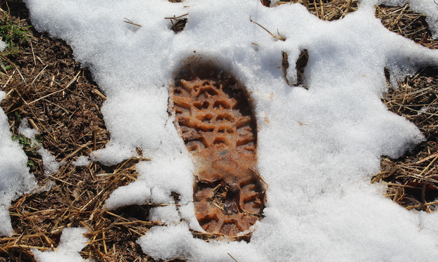 JEZA U Ohiju osmero ljudi kaže da je srelo Bigfoota! A sjećate se Nessie i Yetija? Evo 'gdje su'