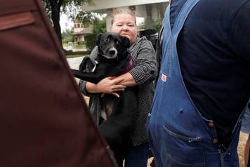 A woman carries her dog into a collector's vintage military truck to evacuate from flood waters from Hurricane Harvey in Dickinson